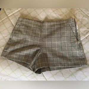 Loft Ladies shorts (size 10) NWT
